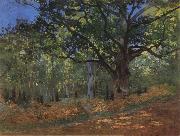 Claude Monet The Bodmer Oak,Forest of Fontainebleau Spain oil painting artist